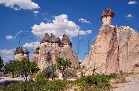 Rock pinnacles and neglected vineyard  Zelve Cappadocia Turkey