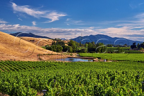 Irrigation dam in The Nineteenth Vineyard owned by the Sutherland Family  Fairhall Marlborough New Zealand