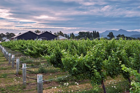 Cloudy Bay winery and Sauvignon Blanc vineyard in the Wairau Valley with the Richmond Ranges in distance Blenheim Marlborough New Zealand