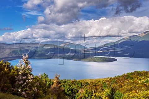 Lake Rotoiti in Nelson Lakes National Park  St Arnaud New Zealand