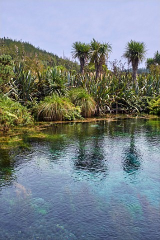 Te Waikoropupu Springs  Takaka Nelson Tasman New Zealand