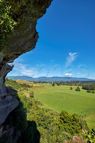 View from the viewing platform at The Grove Scenic Reserve Takaka Nelson Tasman New Zealand