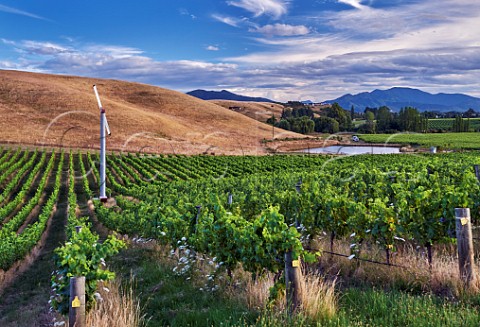 Irrigation dam and wind machine in The Nineteenth Vineyard owned by the Sutherland Family Ben Morven Valley Marlborough New Zealand