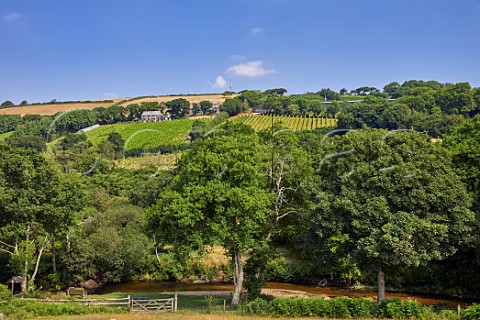 View over the Camel River to Camel Valley Vineyard and its old winery and house Nanstallon Cornwall England