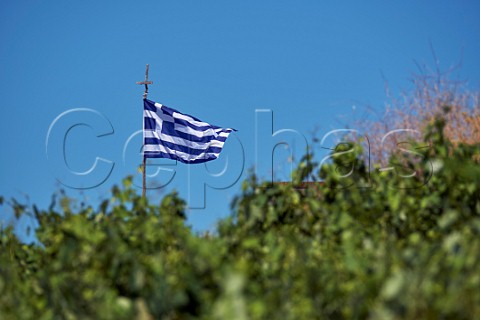 Greek flag flying over vineyard   Cephalonia Ionian Islands Greece