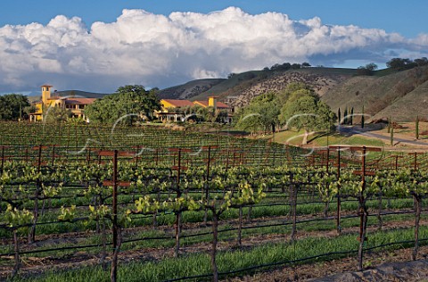 Villa SanJuliette and its vineyard in the Cholame Hills San Miguel San Luis Obispo County California   Paso Robles Estrella District