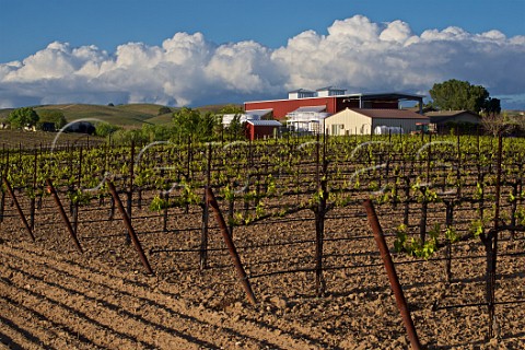 Springtime vineyard by Judd Winery of JJ Cellars San Miguel San Luis Obispo County California   Paso Robles Estrella District