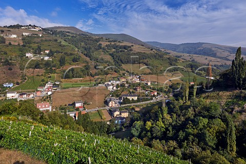 Terraced vineyards above the village of Lims and the Ro Naviego  Cangas del Narcea Asturias Spain Cangas