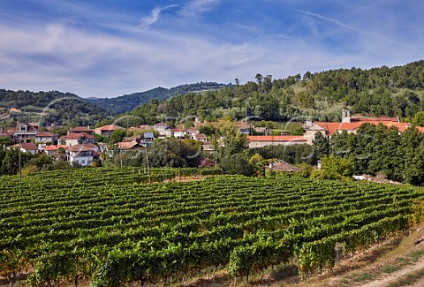 Vineyard above the village of San Clodio and the Monasterio de San Clodio Hotel Near Leiro Galicia Spain   Ribeiro