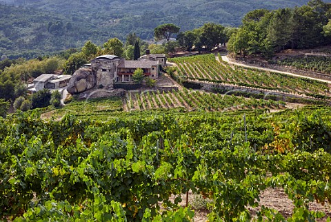 Via Mein winery vineyards and hotel The soil here is pure granite  San Clodio near Leiro Galicia Spain Ribeiro