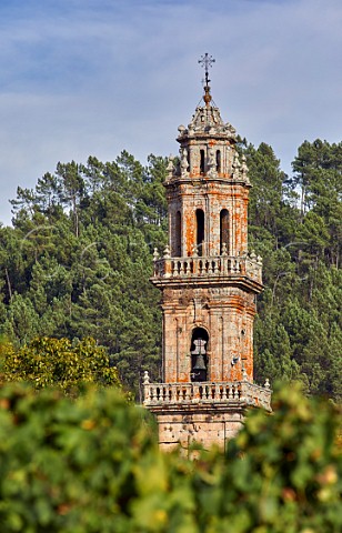 Church tower by vineyard of Bodegas Casal de Armn San Andrs de Camporredondo Galicia Spain Ribeiro