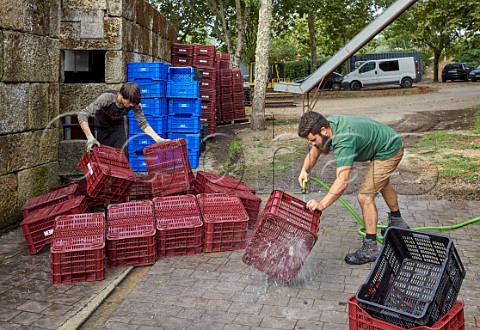 Washing grape crates during harvest at Via Mein San Clodio near Leiro Galicia Spain  Ribeiro