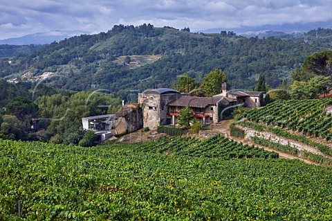 Via Mein winery vineyards and hotel The soil here is pure granite  San Clodio near Leiro Galicia Spain  Ribeiro