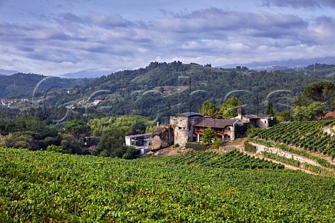 Via Mein winery vineyards and hotel The soil here is pure granite  San Clodio near Leiro Galicia Spain  Ribeiro