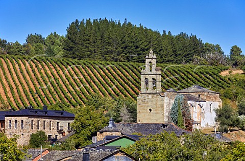 Bodegas and vineyard of Pittacum by the church in the village of Arganza Castilla y Len Spain  Bierzo
