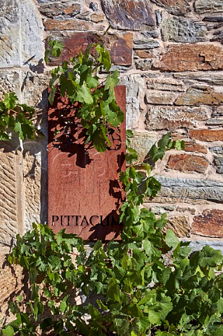 Sign on winery wall of Pittacum Arganza Castilla y Len Spain  Bierzo