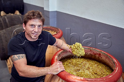 Grgory Perez holding some of the grapeskin cap on an amphora of fermenting Godello in winery of Mengoba San Juan de Carracedo Castilla y Len Spain  Bierzo