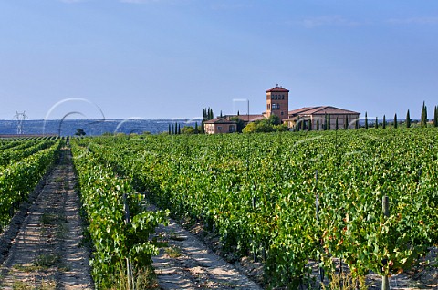 Hacienda Zorita and its vineyard Fermoselle Castilla y Len Spain Arribes