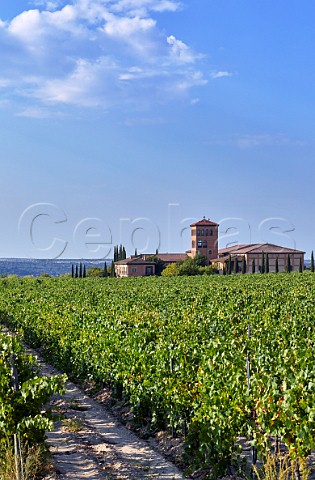 Hacienda Zorita and its vineyard Fermoselle Castilla y Len Spain Arribes