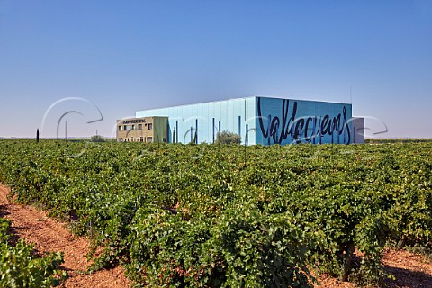Winery and Verdejo vineyard of Grupo Valdecuevas at La Pardina Rueda Castilla y Len Spain  Rueda