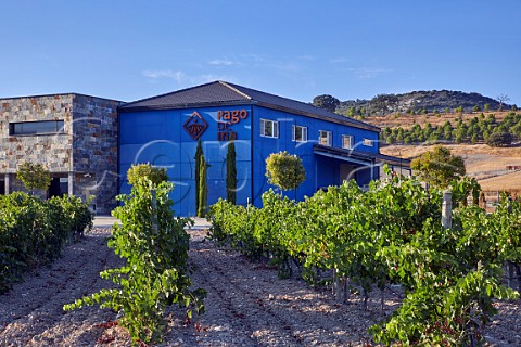 Winery and vineyard of Pago de Ina Olivares de Duero Castilla y Len Spain  Ribera del Duero