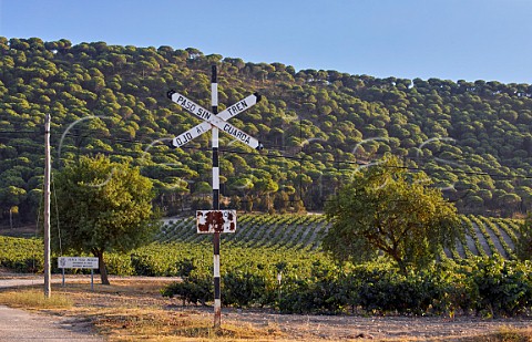 Old railway crossing by vineyard of Vega Sicilia Valbuena de Duero Castilla y Len Spain  Ribera del Duero