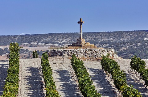 Stone cross in vineyard near Quintanilla de Arriba Castilla y Len Spain Ribera del Duero