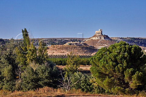View across the Ro Duero to vineyard and winery of Vivaltus with the Castillo de Curiel beyond Near Peafiel Castilla y Len Spain  Ribera del Duero