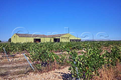 Bodegas Concejo and its Tempranillo vineyard Valoria la Buena Castilla y Len Spain Cigales