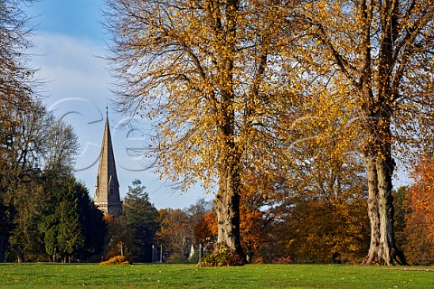 Autumnal trees on Denbies Estate with the spire of St Barnabas Church beyond Ranmore Common Surrey England