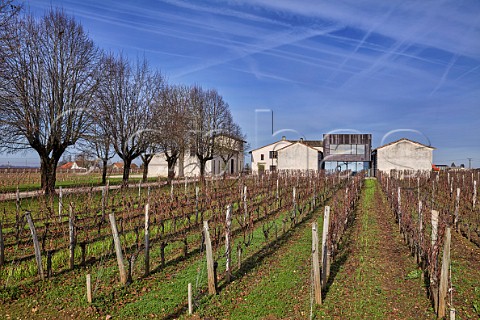 Chteau PetitVillage and Merlot vineyard in winter Pomerol Gironde France   Pomerol  Bordeaux