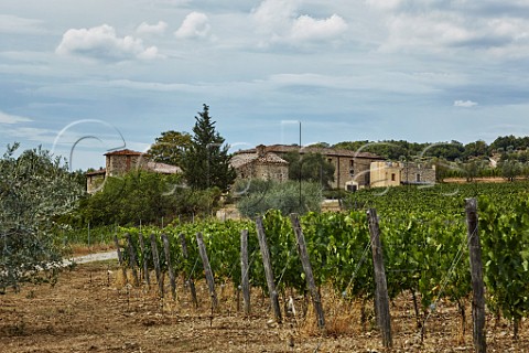 Winery and vineyard of Rocca di Montegrossi Monti in Chianti Tuscany Italy Chianti Classico