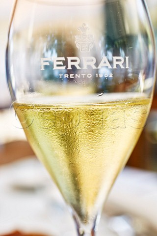 Glass of sparkling wine of Ferrari Ravina Trentino Italy  Trento DOC