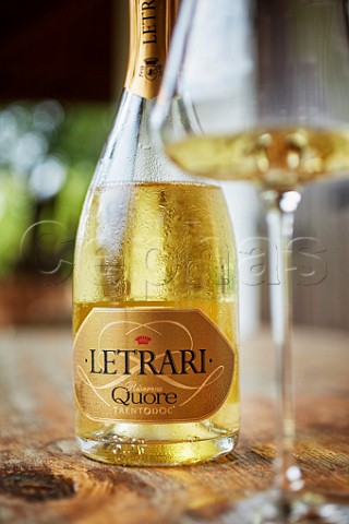 Glass and bottle of Letrari sparkling wine Rovereto Trentino Italy  Trento DOC