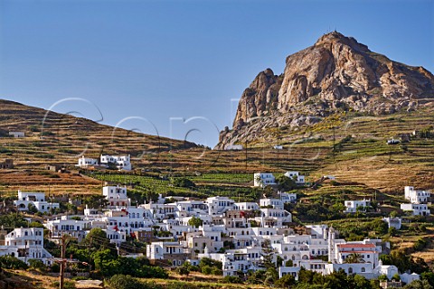 Terraced vineyards of XBourgo below Mount Exomvourgo Tripotamos Tinos Greece
