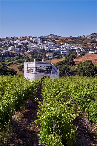 Dovecot in Mavrothiriko vineyard of Vaptistis Winery with village of Falatados beyond Mesi Tinos Greece