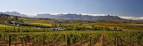 View over vineyards of DeMorgenzon Stellenbosch Western Cape South Africa