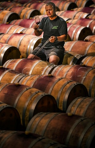 Abrie Besselar winemaker in barrel cellar of Kanonkop Stellenbosch Western Cape South Africa SimonsbergStellenbosch