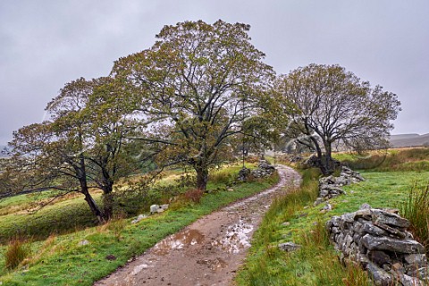 Unsurfaced road near Scar House Reservoir Yorkshire Dales National Park England