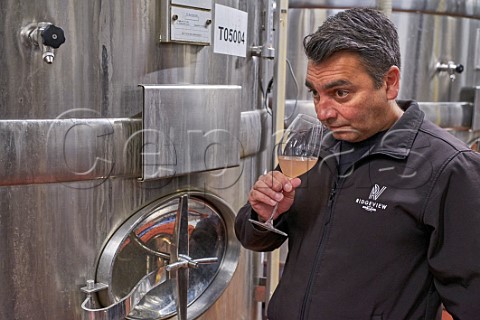 Simon Roberts tasting sample of fermenting Pinot Noir from tank Ridgeview Wine Estate Ditchling Common Sussex England
