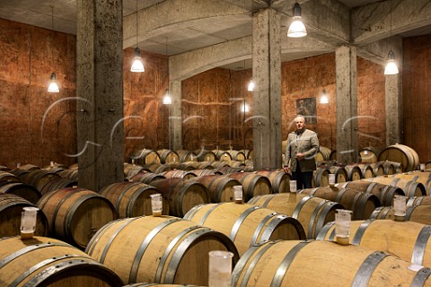 Manfred Tement in his barrel cellar Tement Winery Berghausen Styria Austria Sudsteiermark