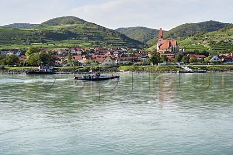 View across the Danube River to Weissenkirchen with the Vorder Seiber vineyard on left and Hinterkirchen on right Niederosterreich Austria    Wachau