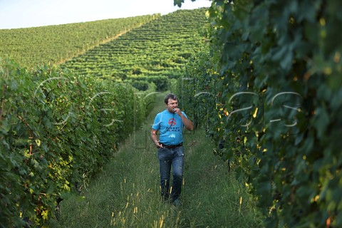 Roberto Conterno in Nebbiolo vineyard of NerviConterno Gattinara Piedmont Italy Gattinara