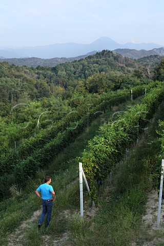Roberto Conterno in Nebbiolo vineyard of NerviConterno with the Alps in distance Gattinara Piedmont Italy Gattinara