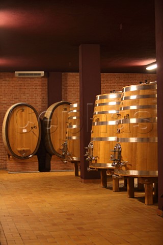 Oak botti and fermenters in winery of Cantina Giacomo Conterno Monforte dAlba Piedmont Italy