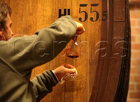 Roberto Conterno tasting from botte in his cellar Cantina Giacomo Conterno Monforte dAlba Piedmont Italy  Barolo