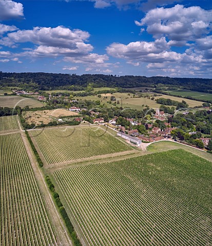 Street Farm Vineyard of Chapel Down with the North Downs beyond Boxley Kent England