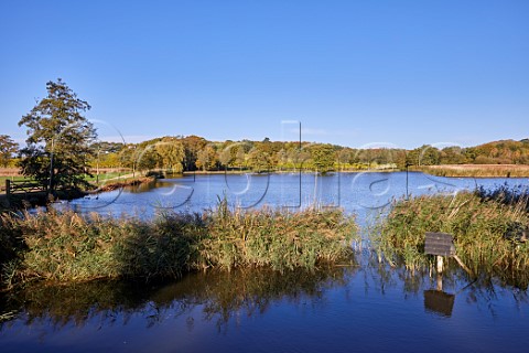 The dam of Thorrington Tide Mill now a nature reserve Mill Farm near Brightlingsea Essex UK