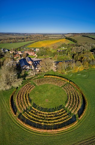 Black Chalk Winery with Circle Vineyard in foreground and Rivers Vineyard beyond Fullerton Hampshire England