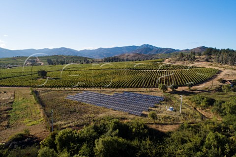 Solar panels in vineyards of Via Los Vascos Colchagua Valley Chile